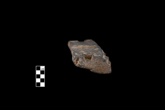 Image of Acanthus leaves