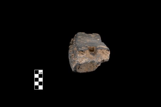 Image of Acanthus leaves