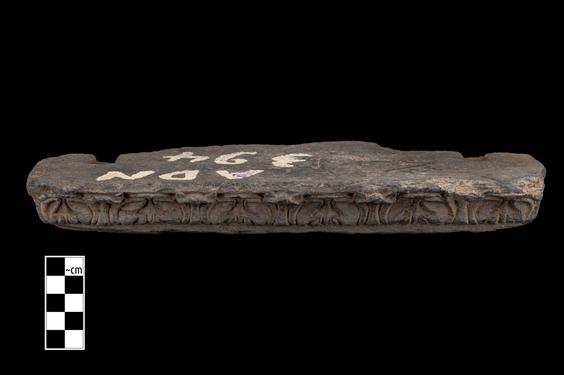 Image of Acanthus leaves