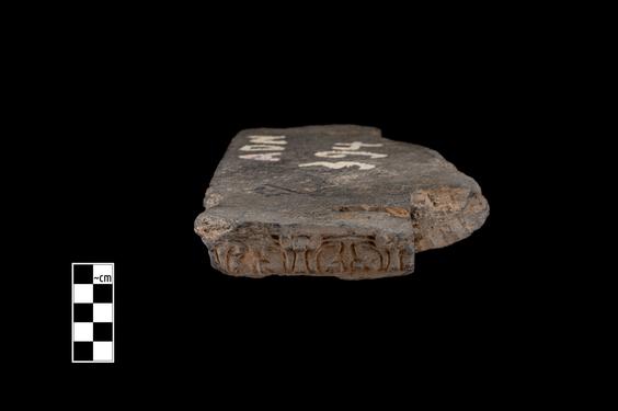 Image of Acanthus leaves