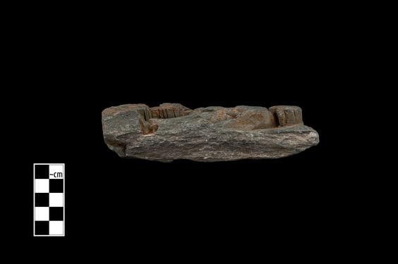 Image of Buddha and devotee