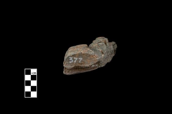 Image of Buddha and devotee