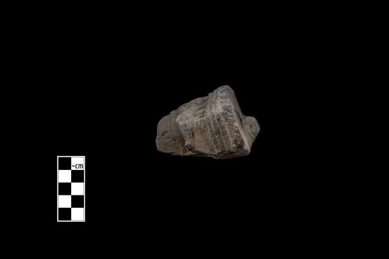 Image of Gandharan-Persepolitan capital