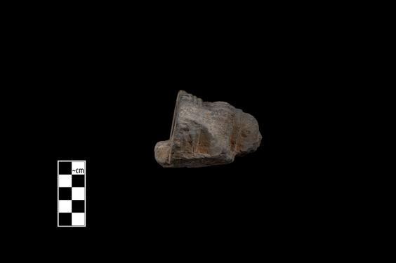 Image of Gandharan-Persepolitan capital