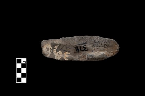 Image of Gandharan-Persepolitan capital