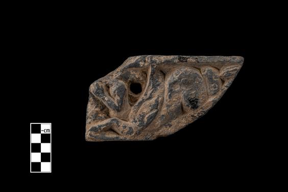 Image of Ichthyocentaur