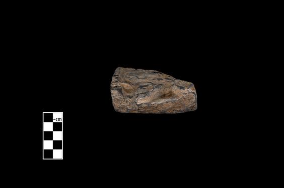 Image of Ichthyocentaur