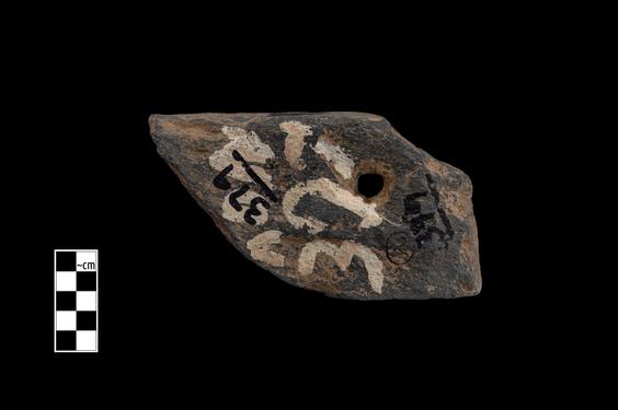 Image of Ichthyocentaur