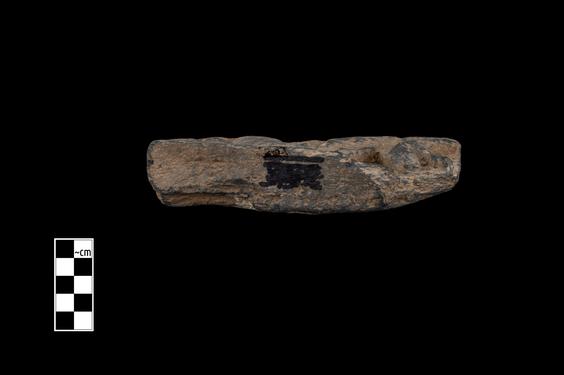 Image of Ichthyocentaur