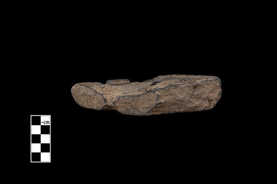 Image of Ichthyocentaur