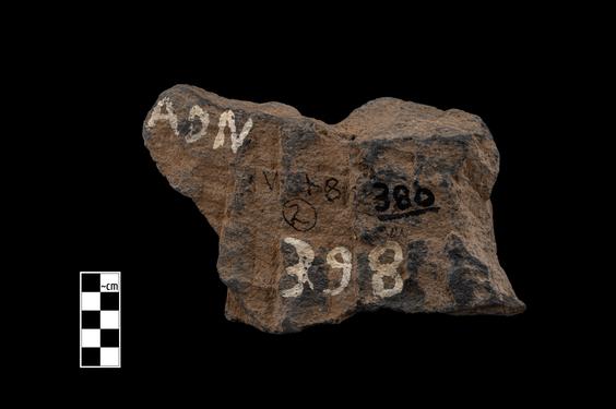 Image of Female musician