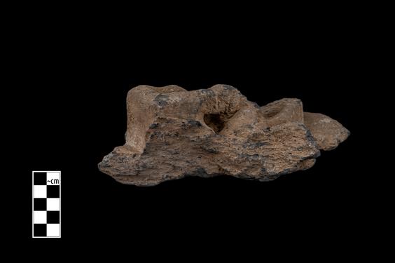 Image of Female musician