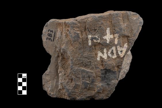 Image of Female figure