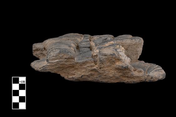 Image of Female figure