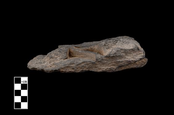 Image of Male figure and archer