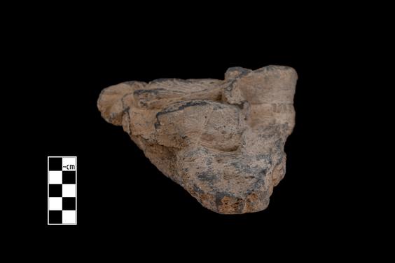 Image of Male figure