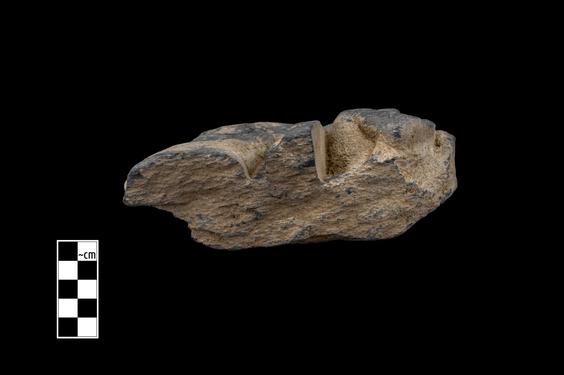 Image of Male figure