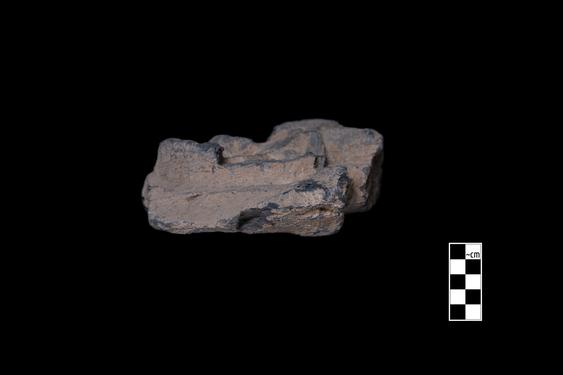 Image of Male figure