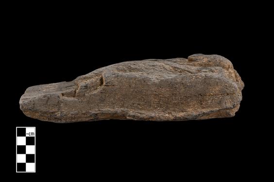 Image of Male devotees