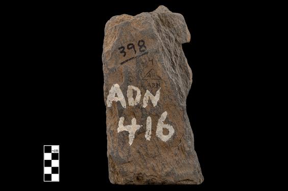 Image of Male devotees