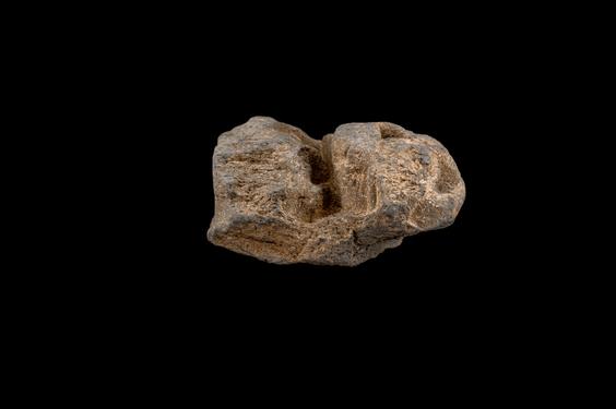 Image of Male devotees