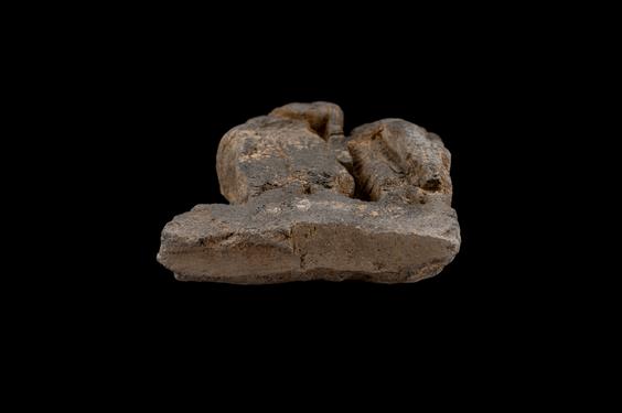 Image of Male devotees