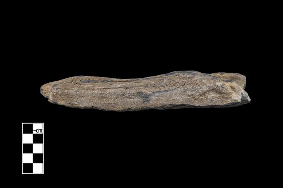 Image of Male devotee