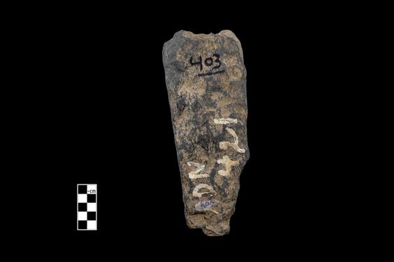 Image of Male devotee