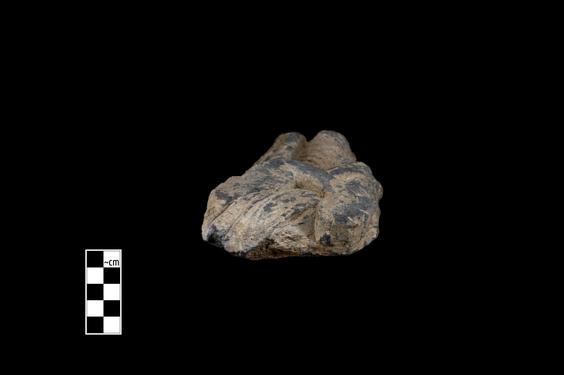 Image of Male devotee