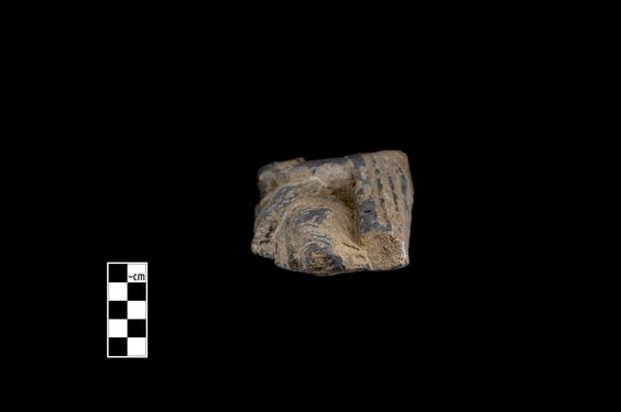 Image of Male devotee