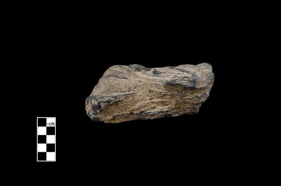 Image of Male figure