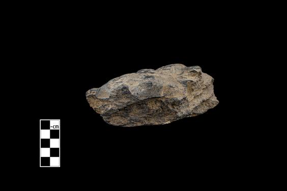 Image of Male figure