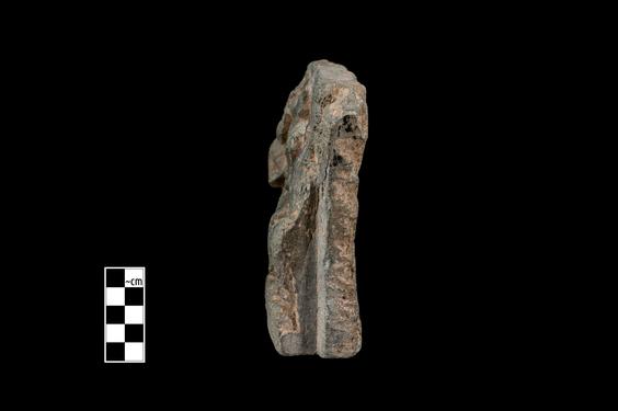 Image of Last Existence: Interpretation of Māyā’s Dream