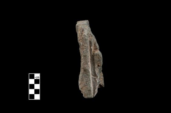 Image of Last Existence: Interpretation of Māyā’s Dream