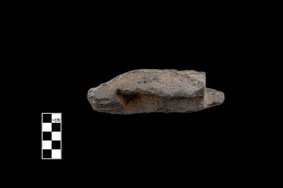 Image of Capital of the Gandharan-Corinthian type