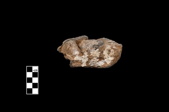 Image of Male devotee