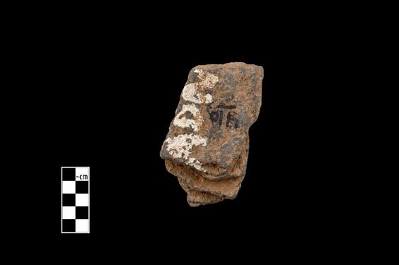 Image of Male devotee