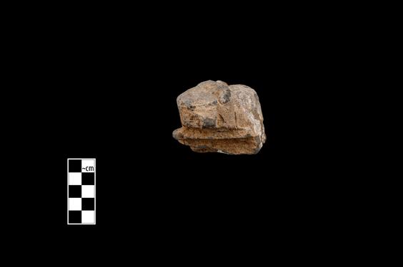 Image of Male devotee