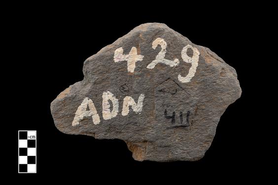 Image of Last Existence: Visit to the Ascetics (?)