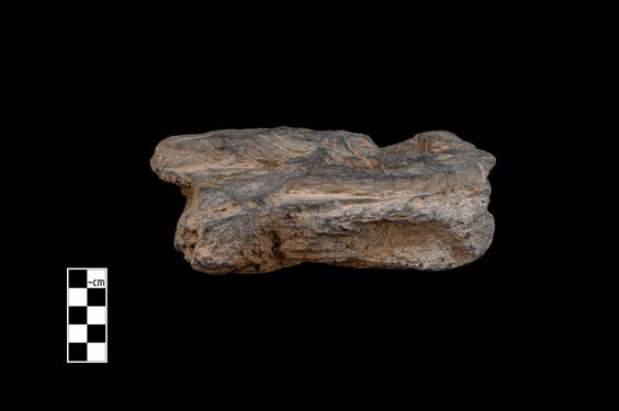 Image of Male figure