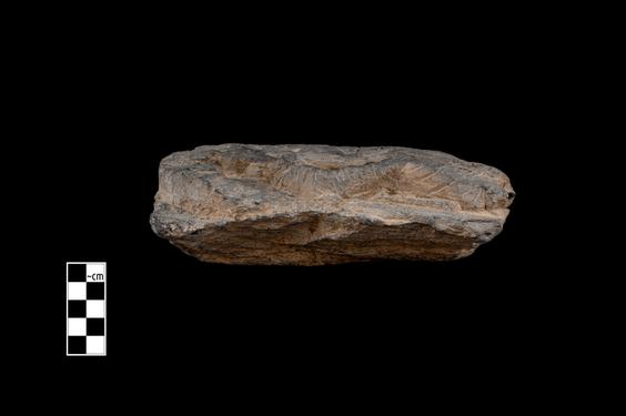 Image of Male figure