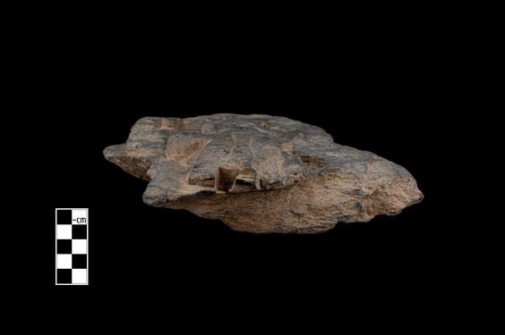 Image of Male figure