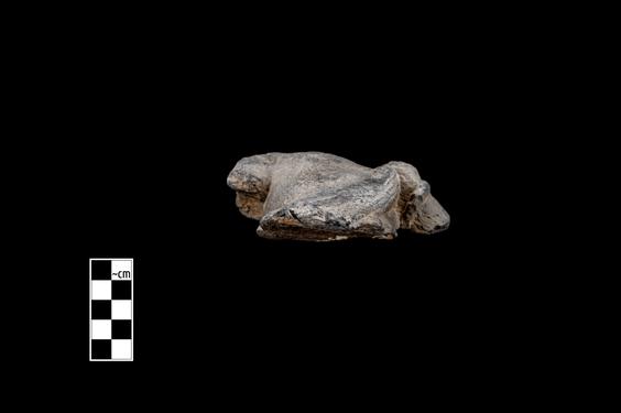 Image of Male figure