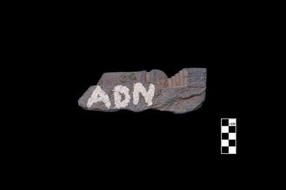 Image of Semi-column of the Gandharan-Persepolitan type