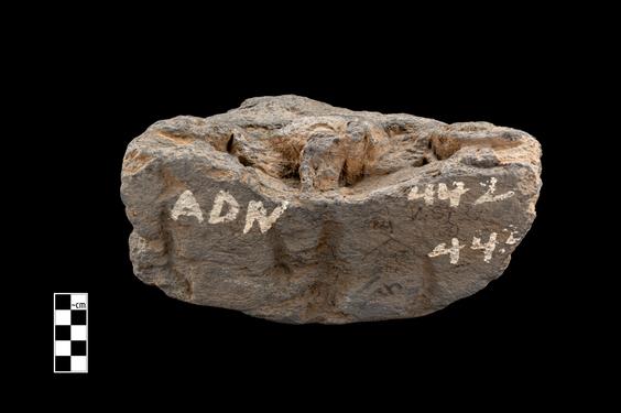 Image of Female figure