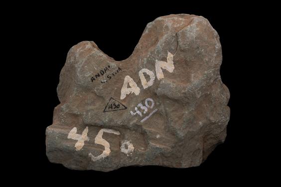 Image of Buddha and devotee