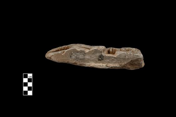 Image of Buddha and devotees