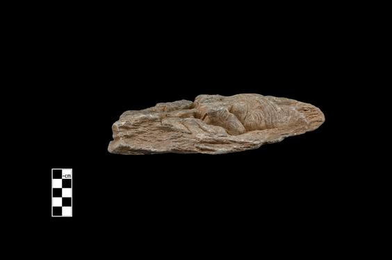 Image of Buddha and devotees