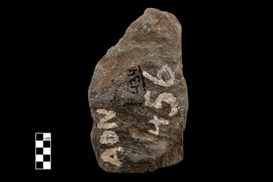 Image of Buddha and devotees