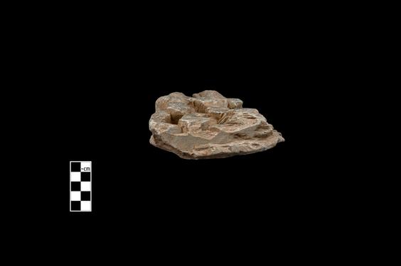 Image of Buddha and devotees